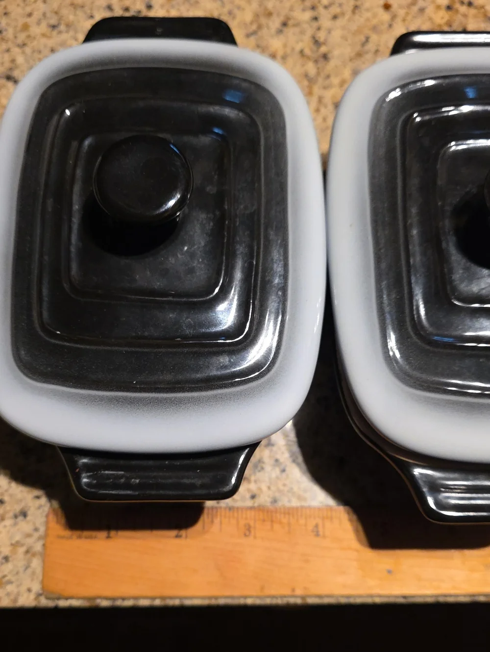 Black and White Covered Casserole Ceramic Dishes Set Of 2
